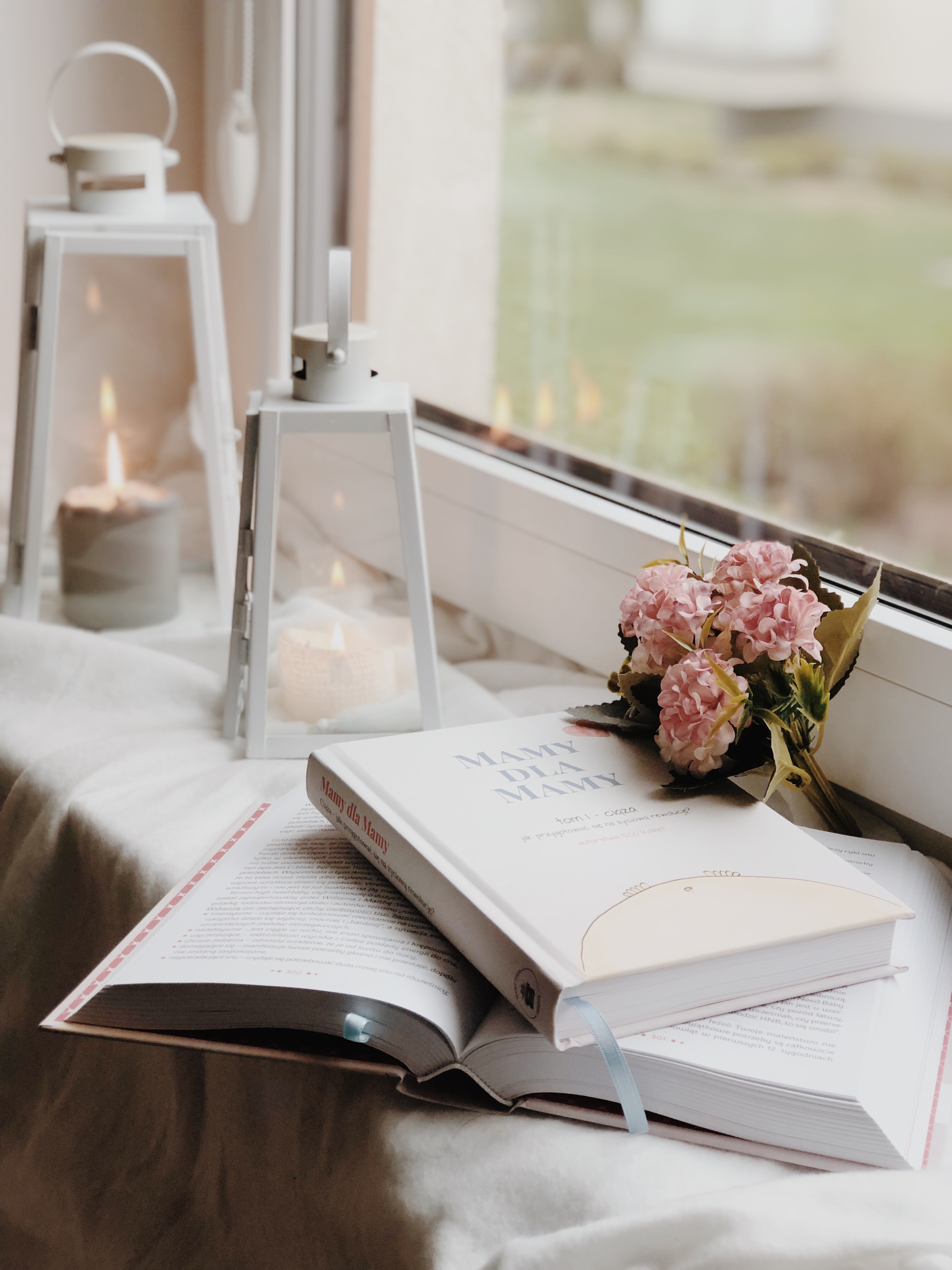 Open handbook on a windowsill